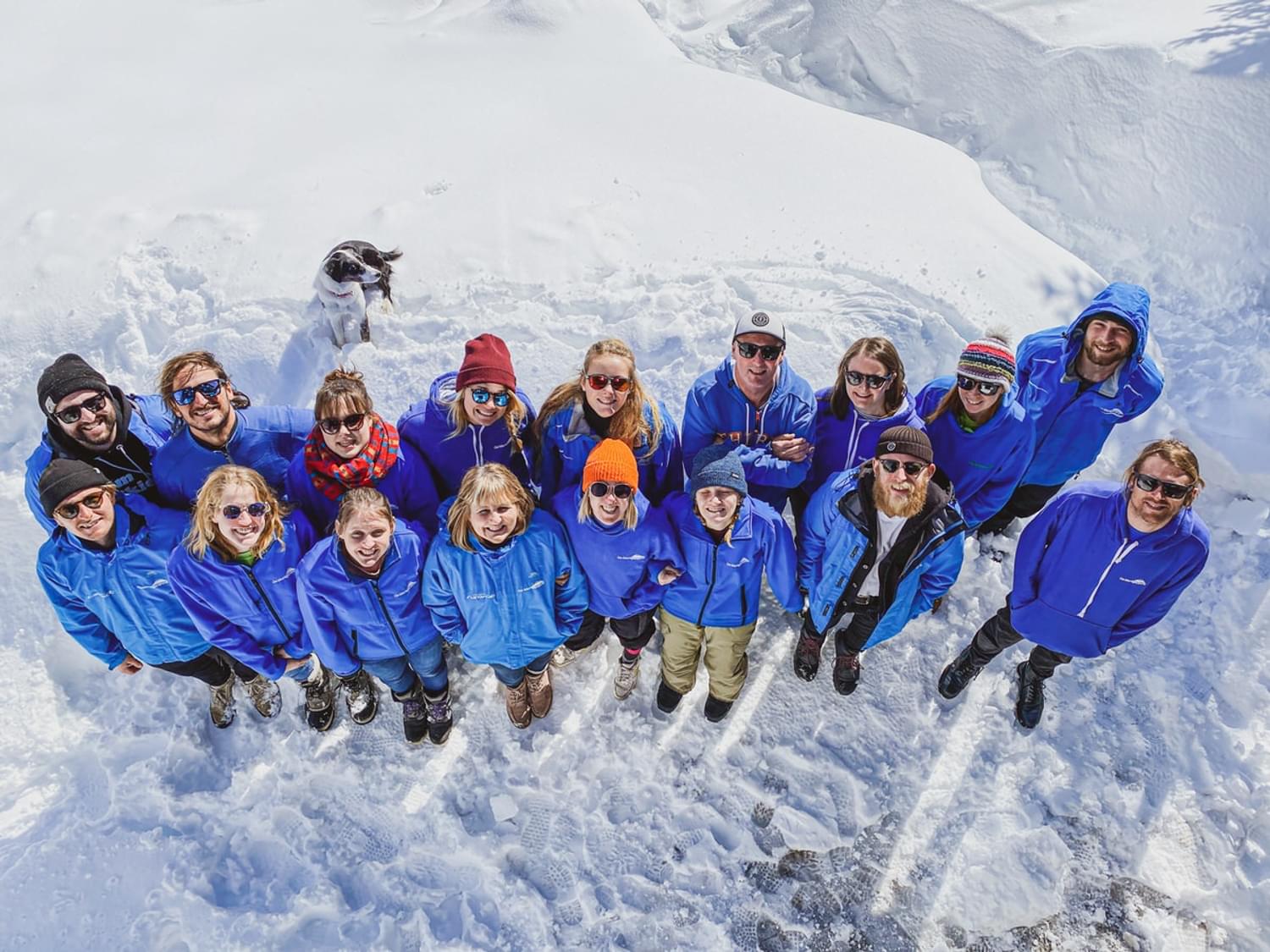 Photo of the Go Montgenevre team in the snow with Daisy the dog.