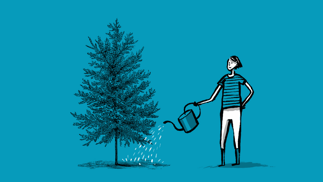 An illustration of a person watering a tree
