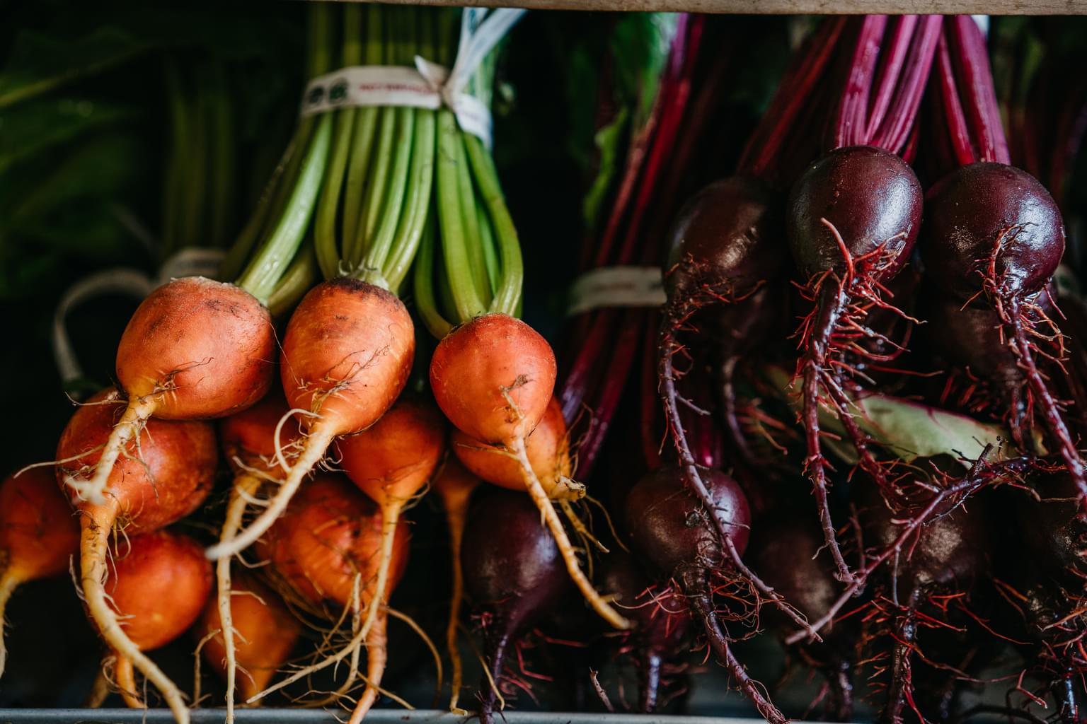 Environ Beets 2019 L