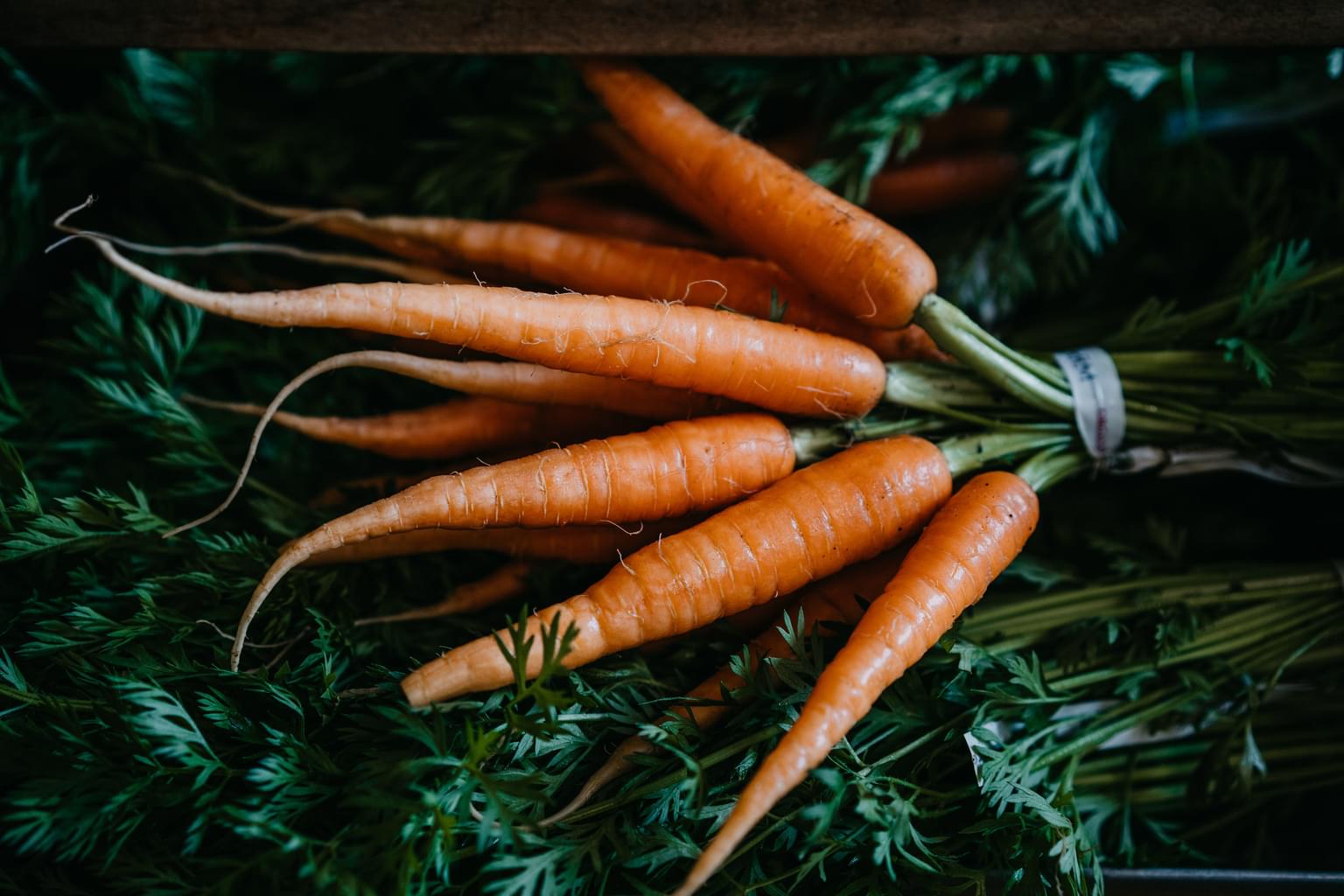 Environ Carrot 2019 L