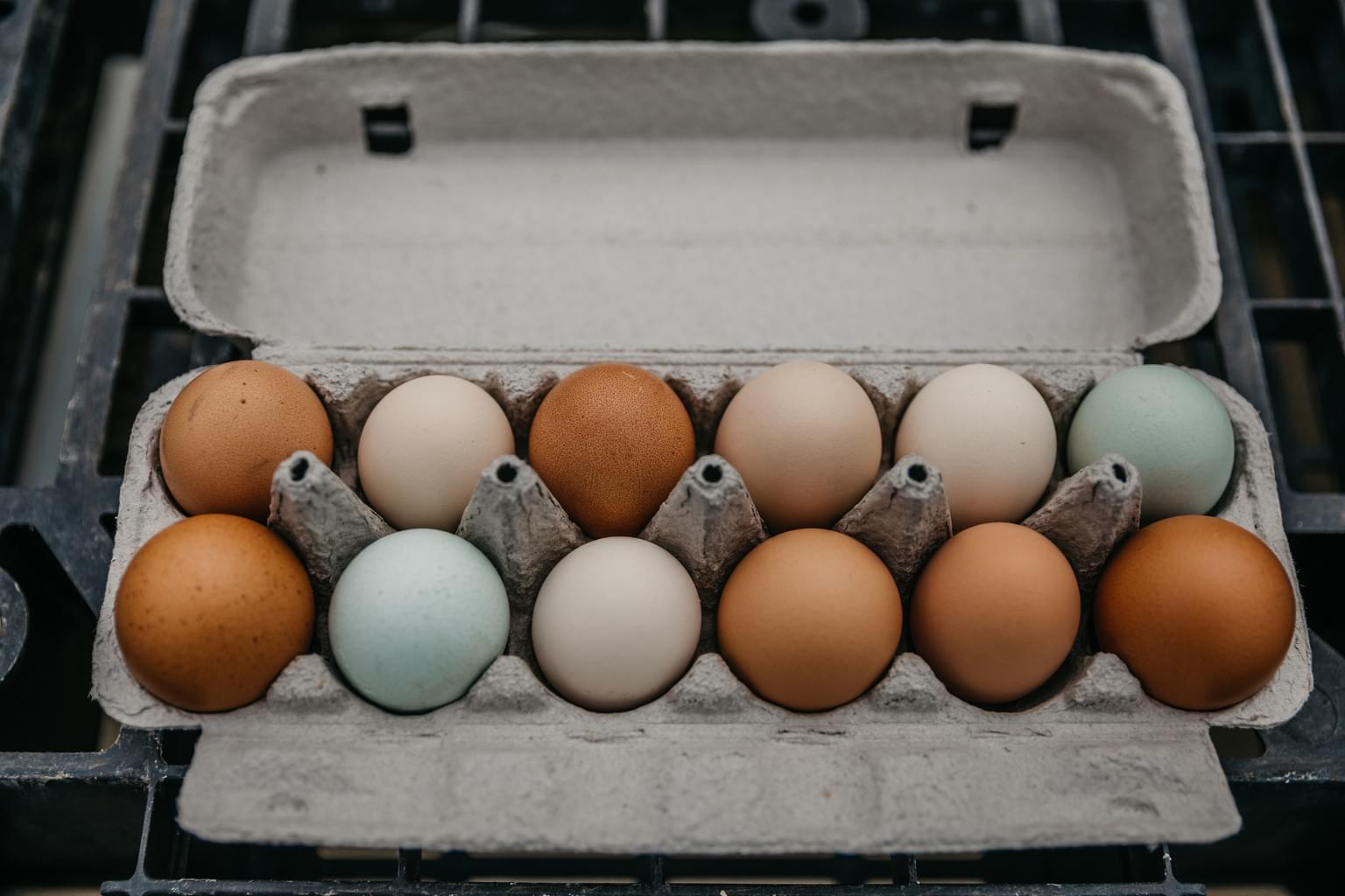 Environ Eggs 2019 L