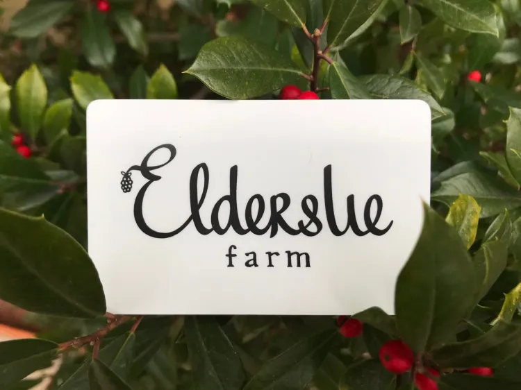 Guest Elderslie Logo