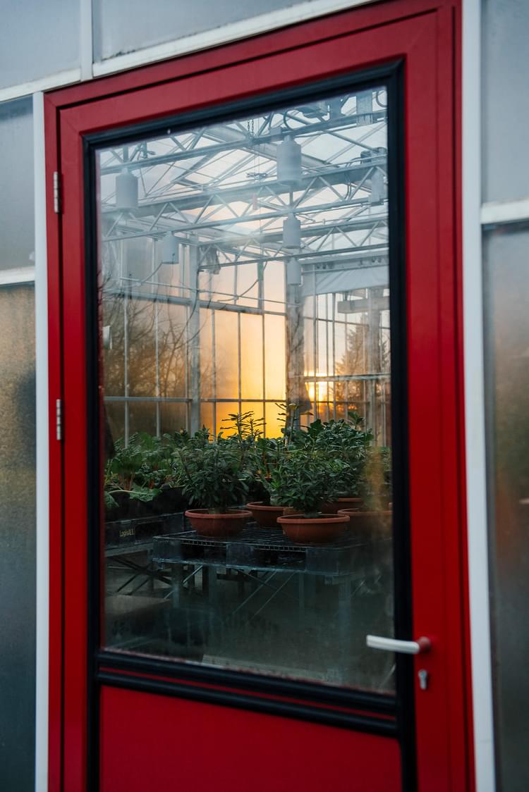 Dec 2024 Dining EB 246