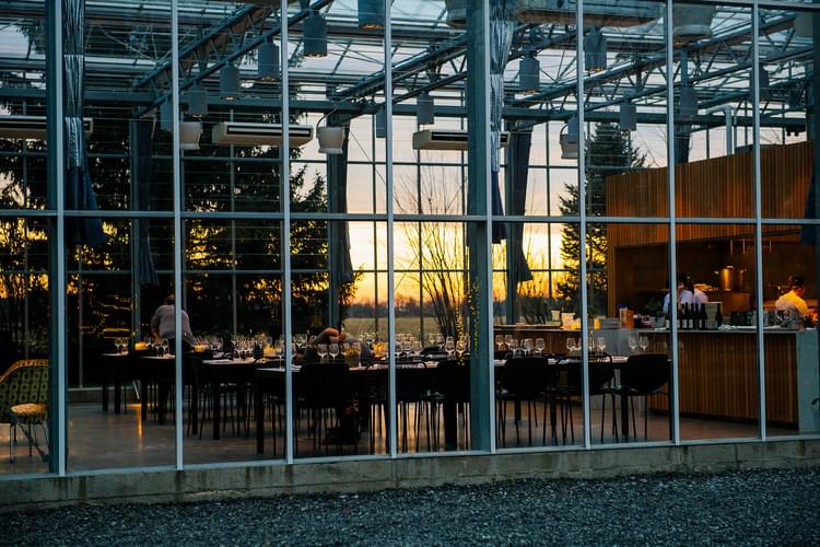 Dec 2024 Dining EB 255