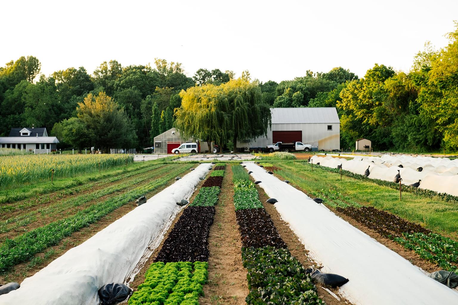 May 2024 Field EB 19