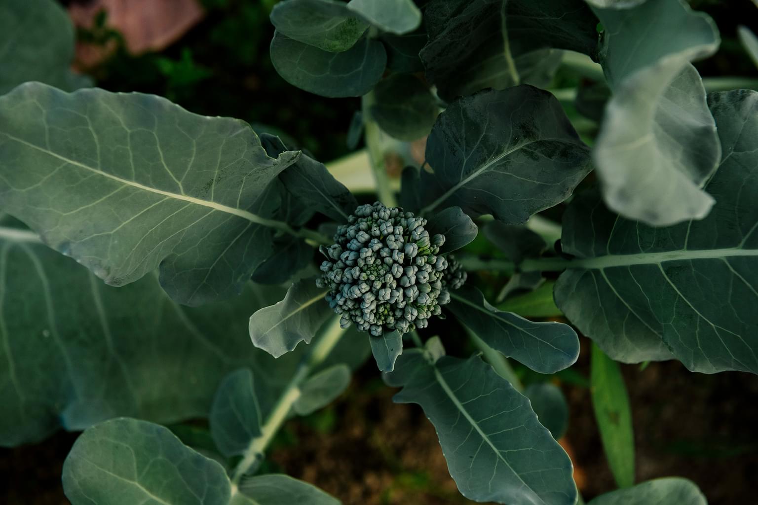 May 2024 Field EB 21