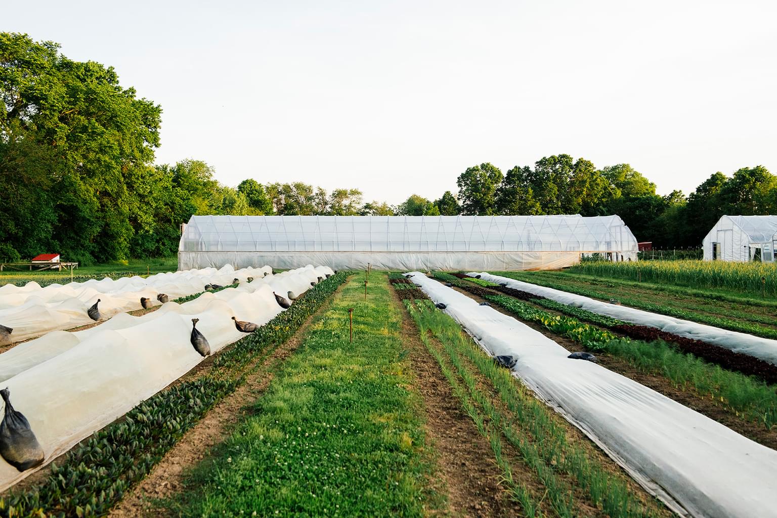 May 2024 Field EB 8