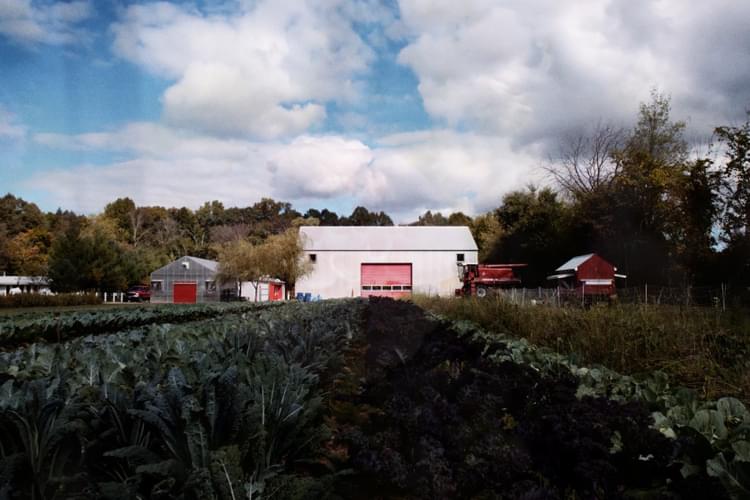 Granor Farm Homepage Mobile Slideshow10