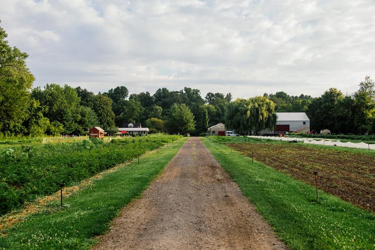 Copy of July 2024 Field EB 29