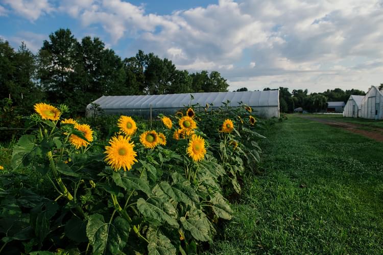 Copy of July 2024 Field EB 52