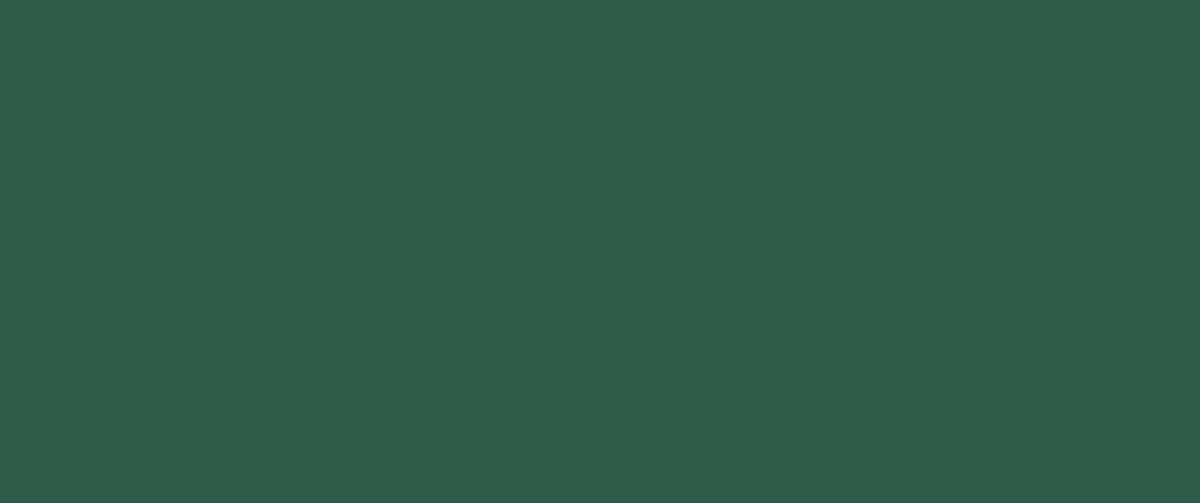 B2 B Banner green