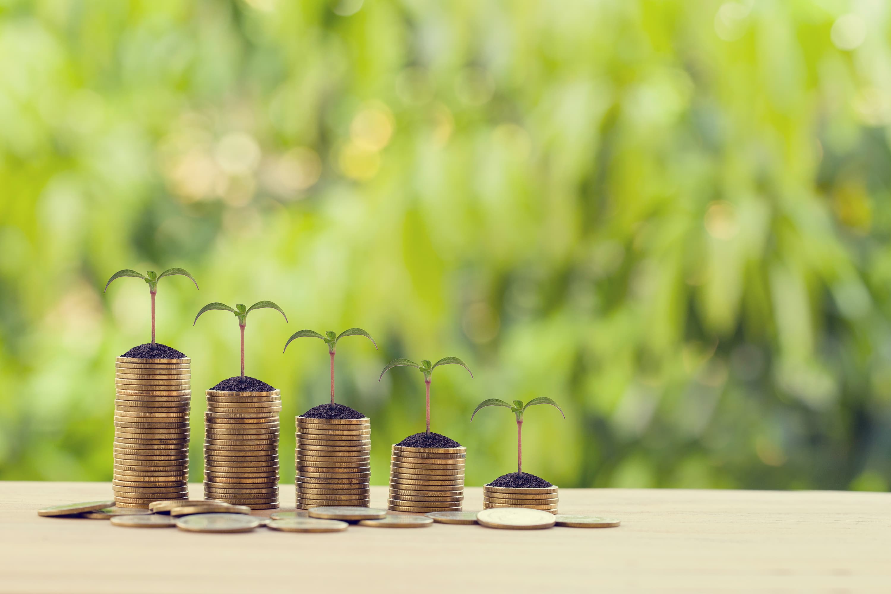 Stacks of coins with small green plants