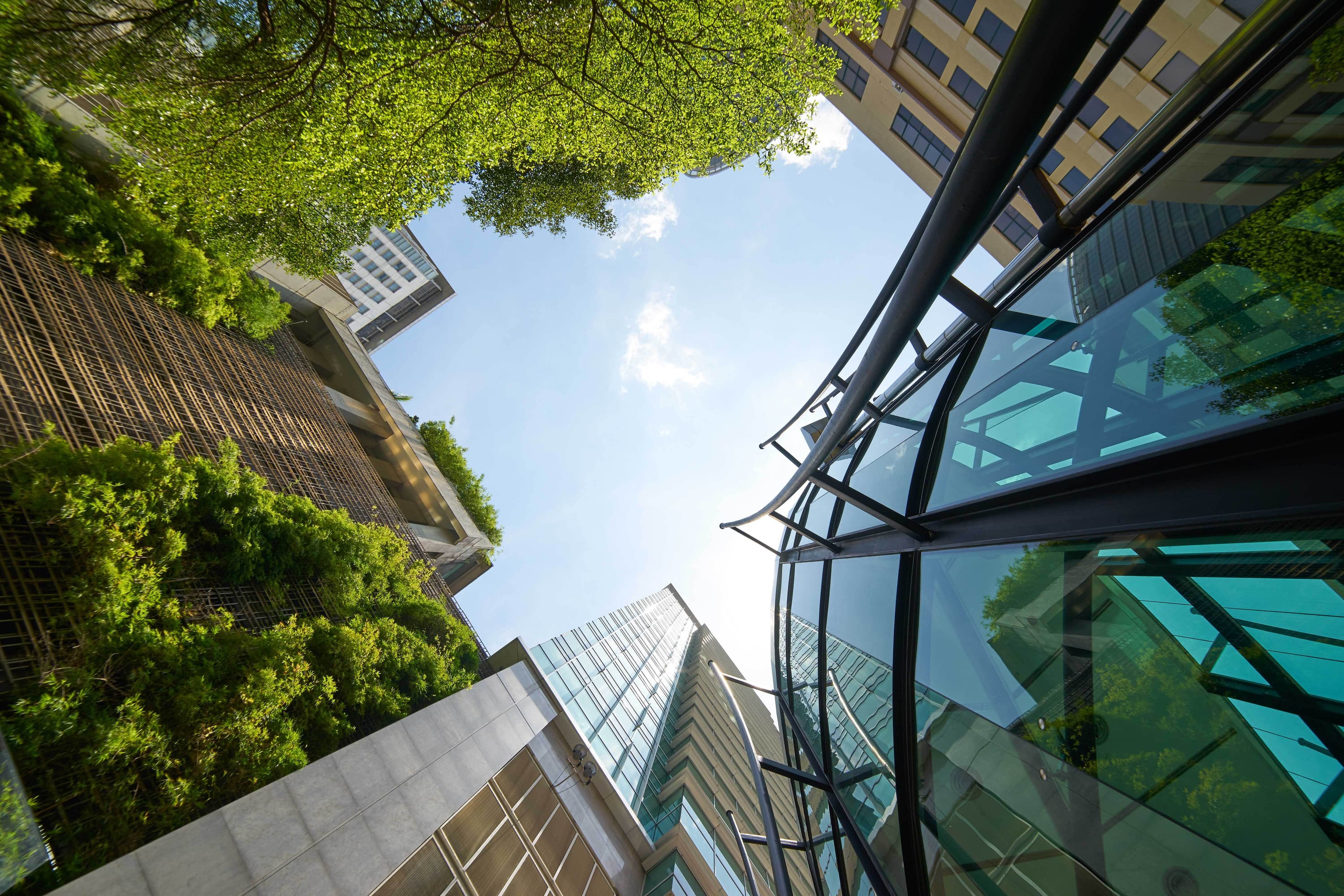 Looking up to the sky between tall buildings and trees