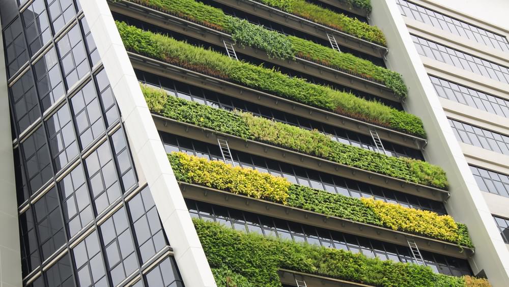 Exterior of building with green planting on balconies