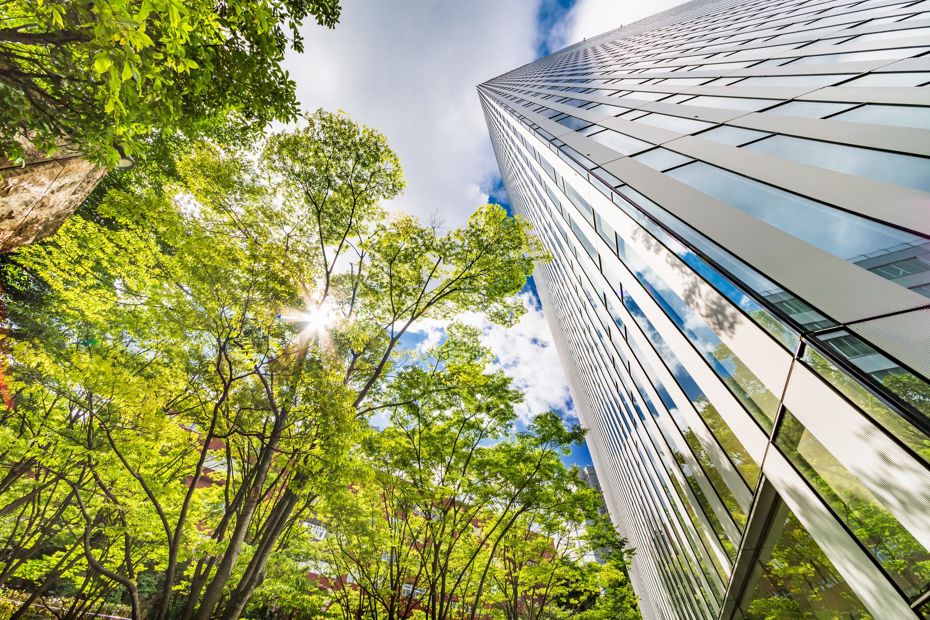 Tall building with trees