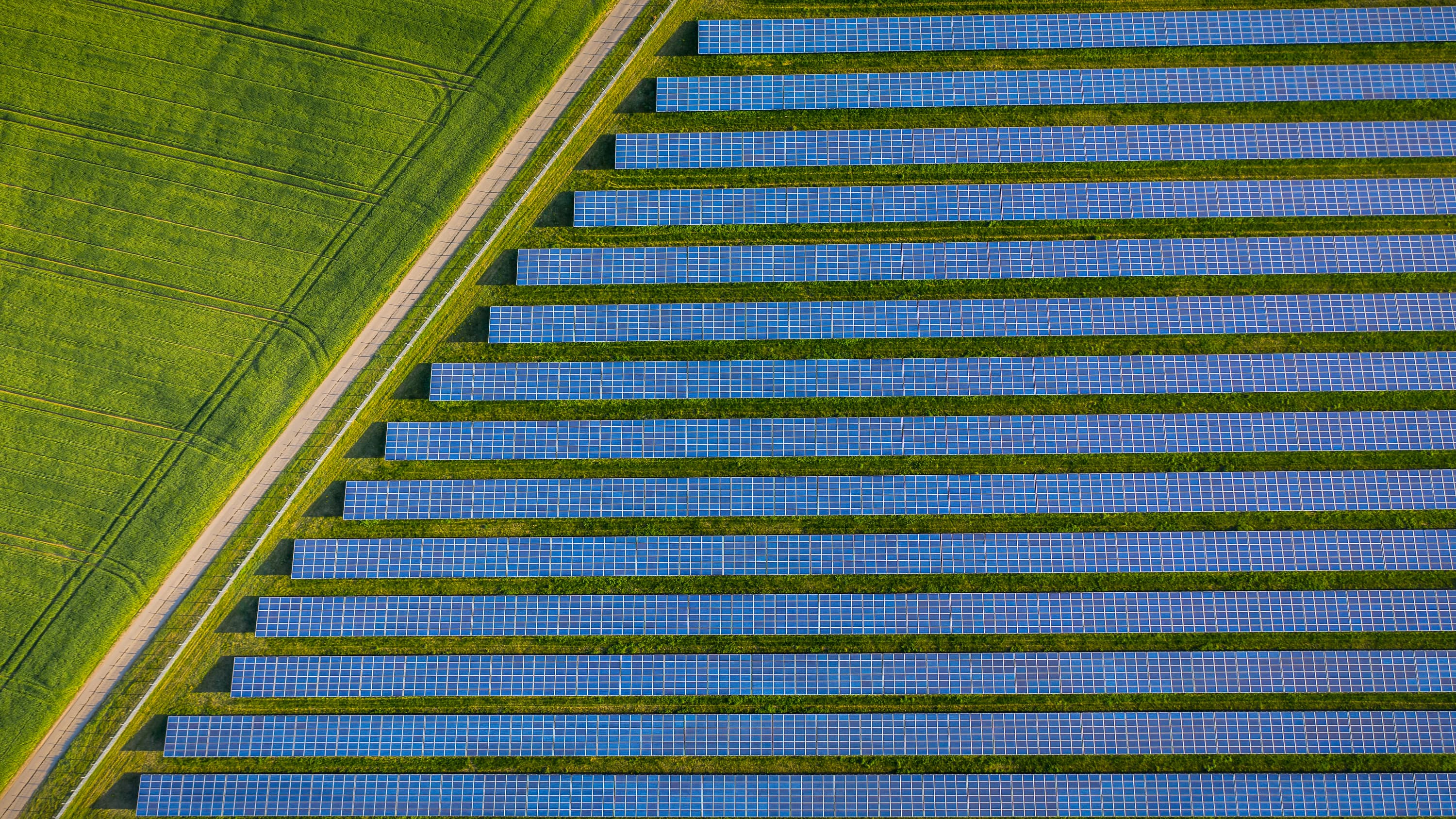 Field of solar panels