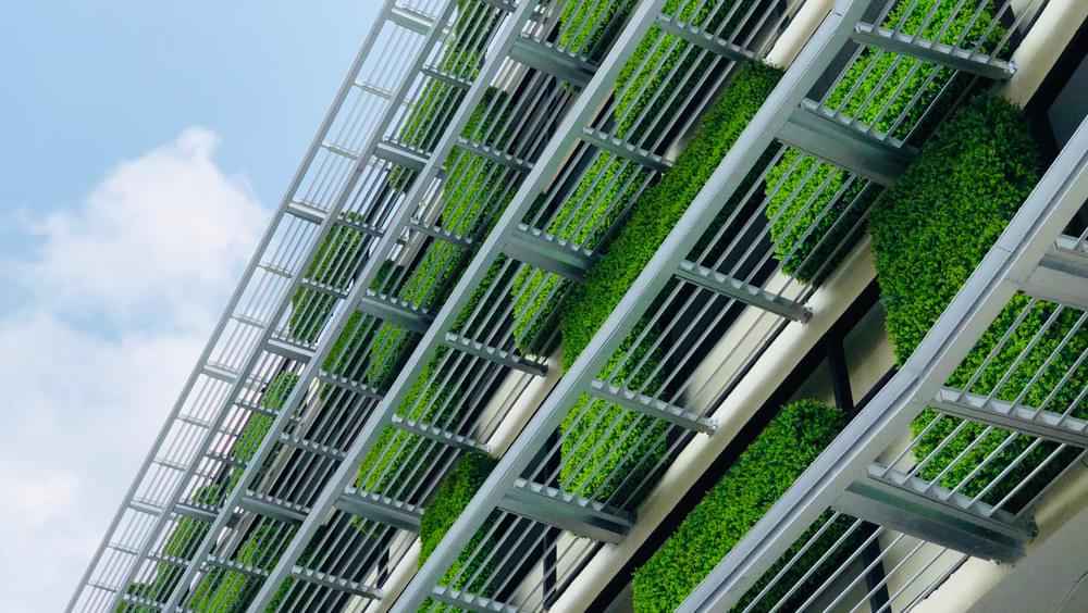 Balconies with green planting