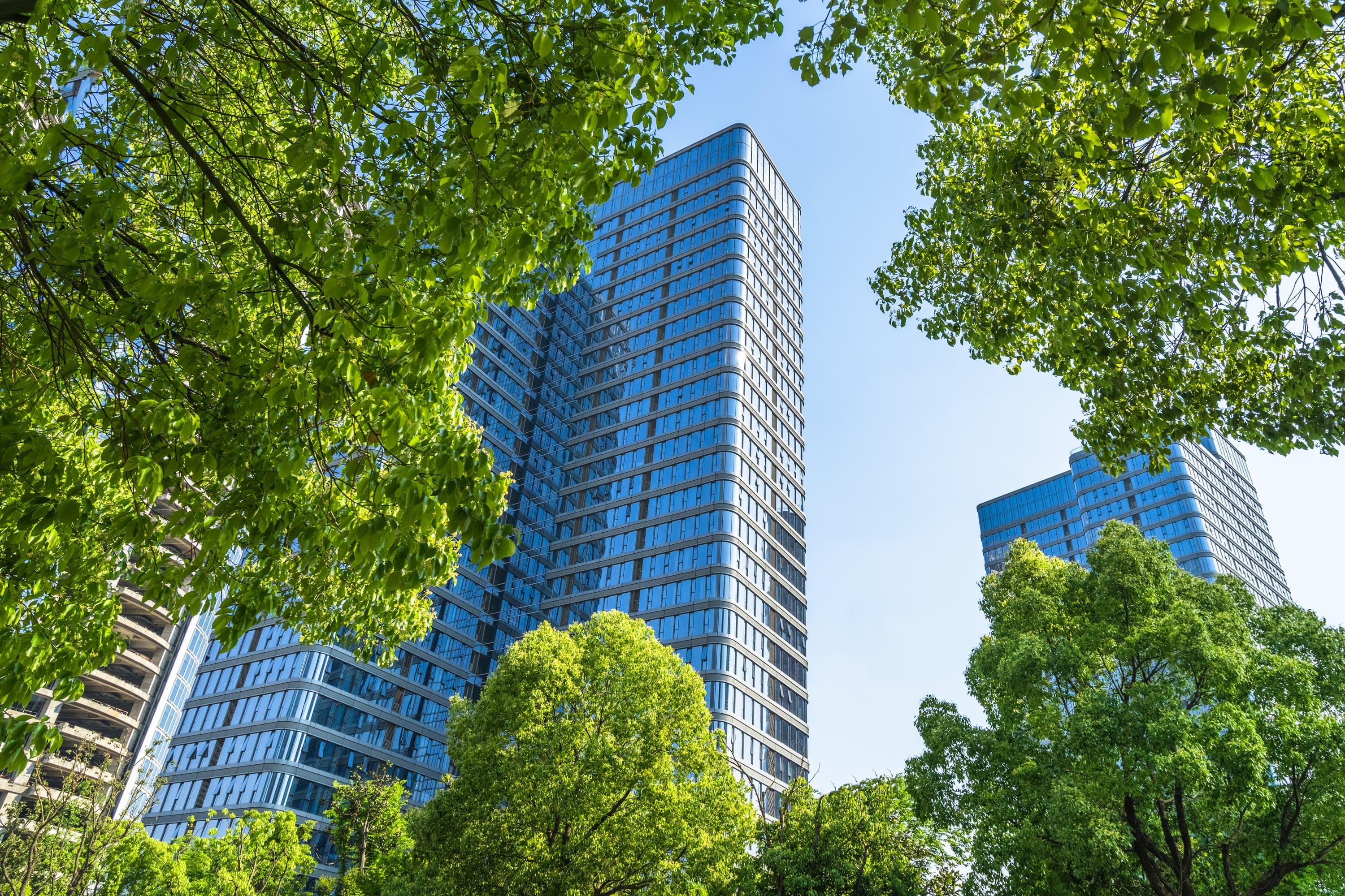 Tall buildings surrounded by trees