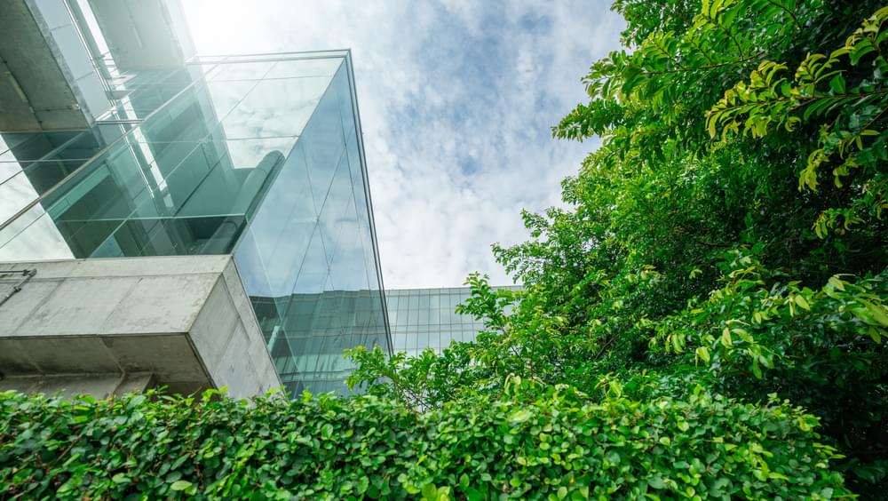 Looking up at glass building with green wall and trees