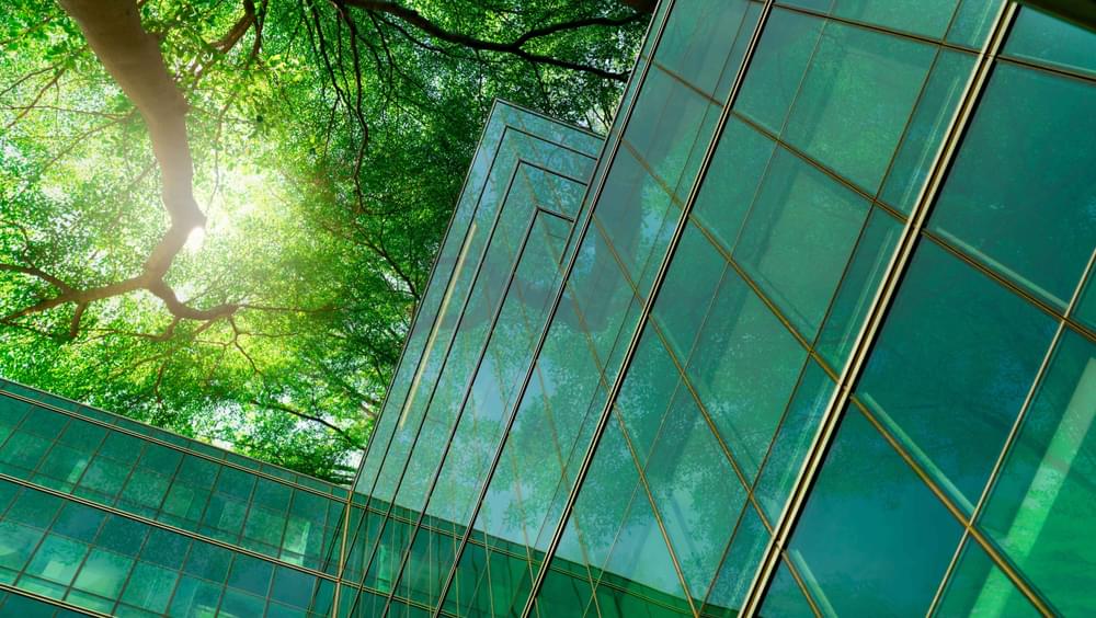 Glass building with trees and sunlight