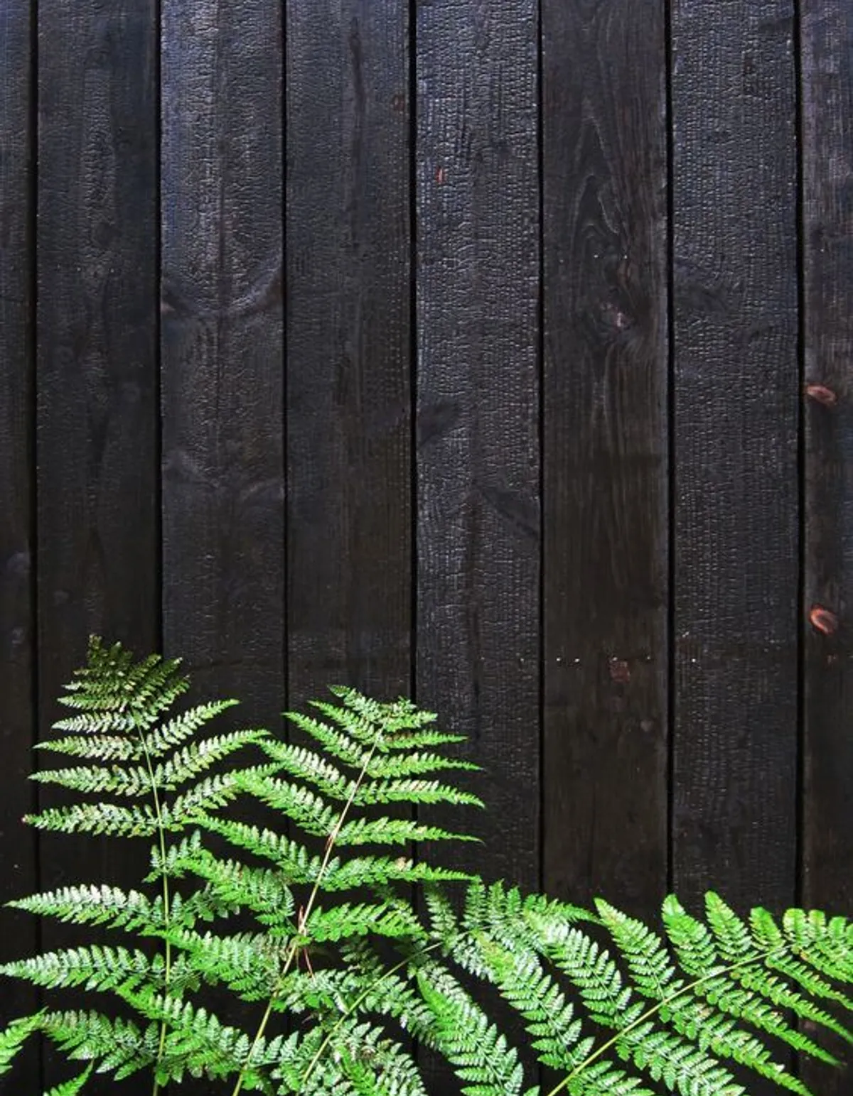 6b3a68c2bd94e6389079adc017405ec7