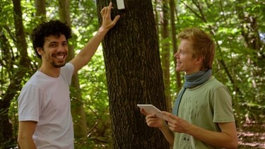 Fold AI team forest