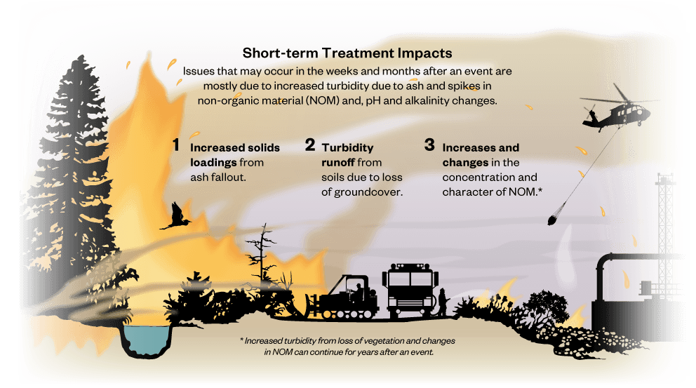 Wildfires treatment impacts