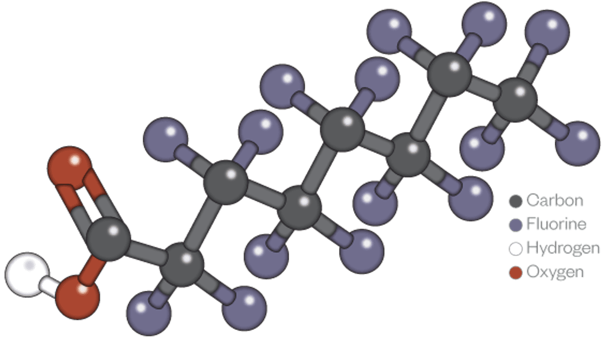 PFAS molecule web graphic