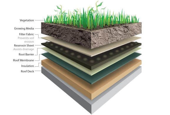 Green roof schematic 1