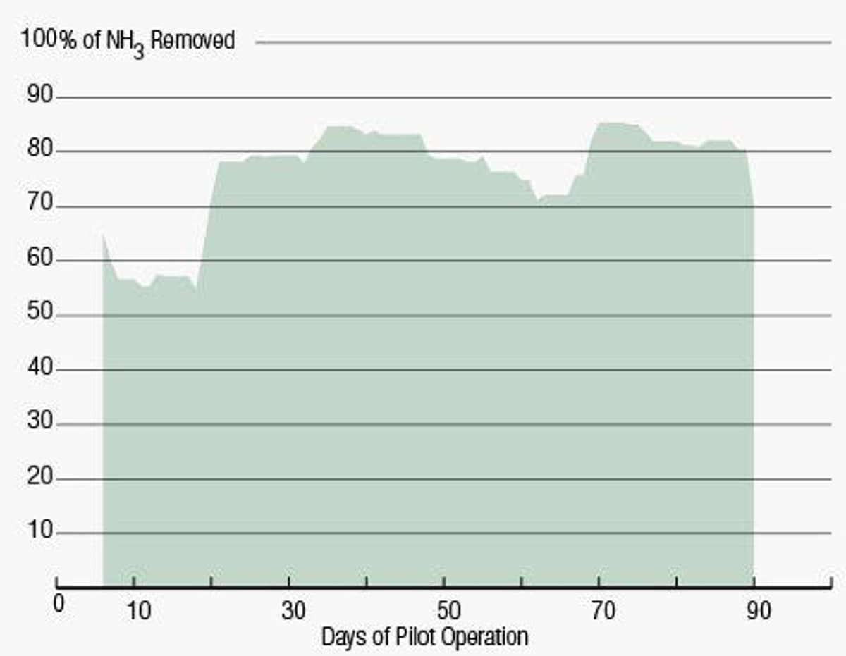 Bay Park Nitrogen Chart for web