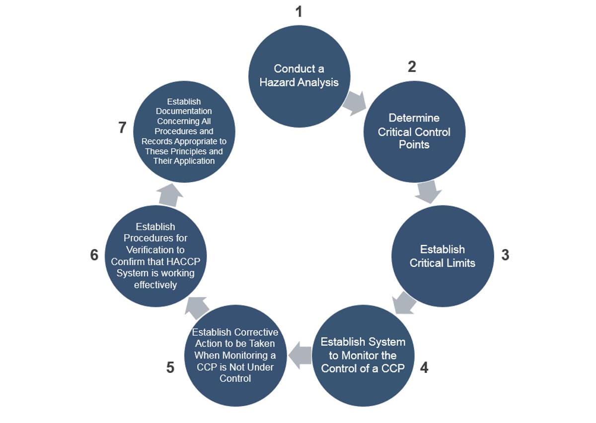 Haccp principles