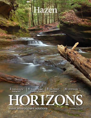 Horizons Spring 2017 Cover