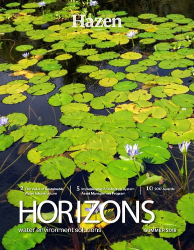 Horizons Summer 2018 Cover
