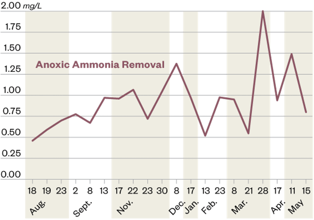 Anoxic Ammonia Removal