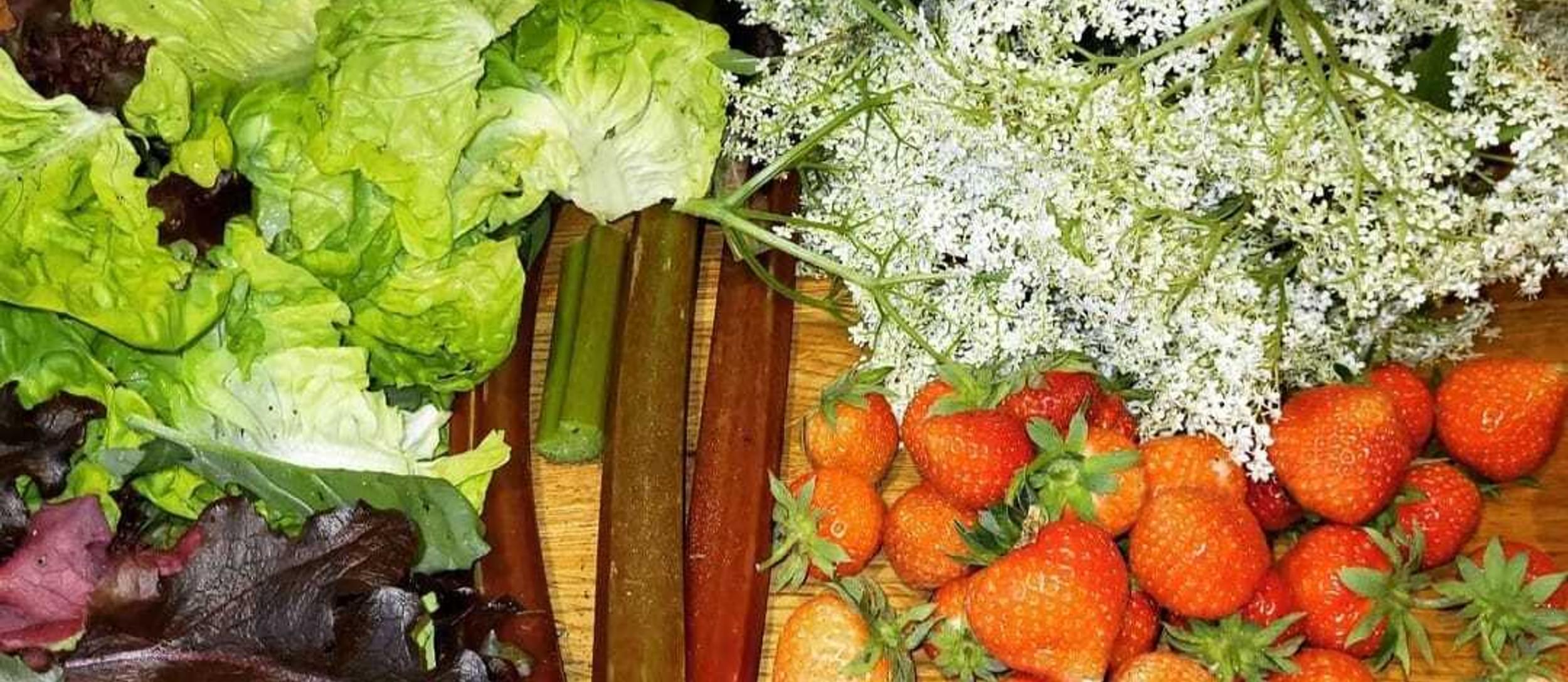 F6 D337 AC FEE8 4731 B286 360 DAB47713 C