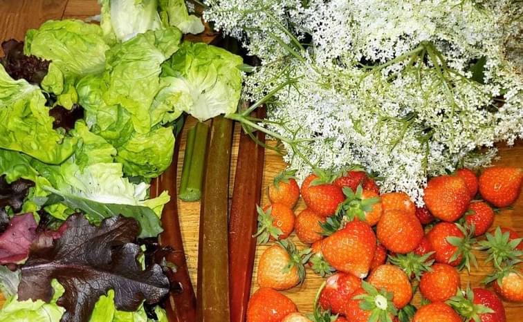 F6 D337 AC FEE8 4731 B286 360 DAB47713 C