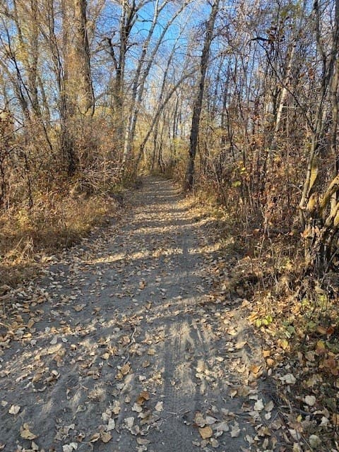 Beachwood Path Oct 8