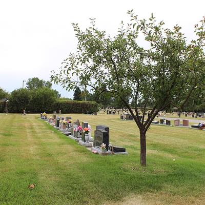 Cemetery with Trees and Gravestones 1