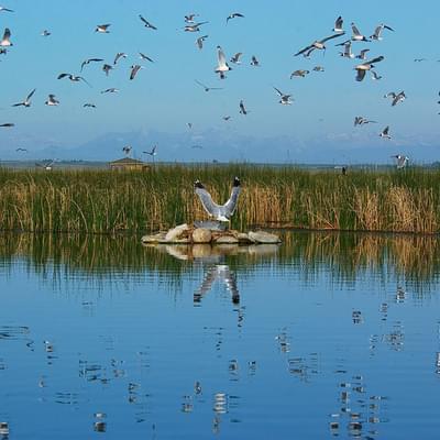 Franklake