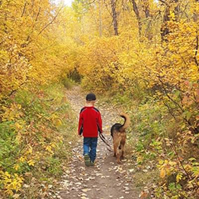 Kid walking dog on pathway