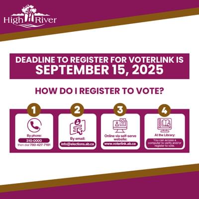 Voterlink Webpage Cover 2