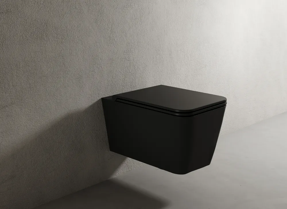 Vallone quad black toilet gallery Vallone quad black toilet gallery