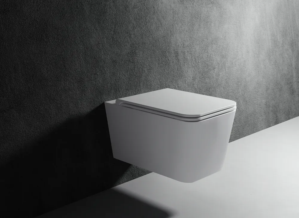 Vallone quad toilet gallery Vallone quad toilet gallery