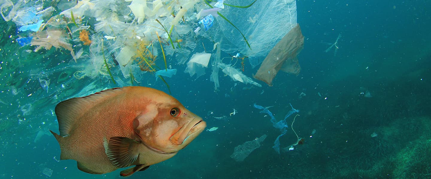 An image of an orange fish swimming in the ocean that is polluted by plastic