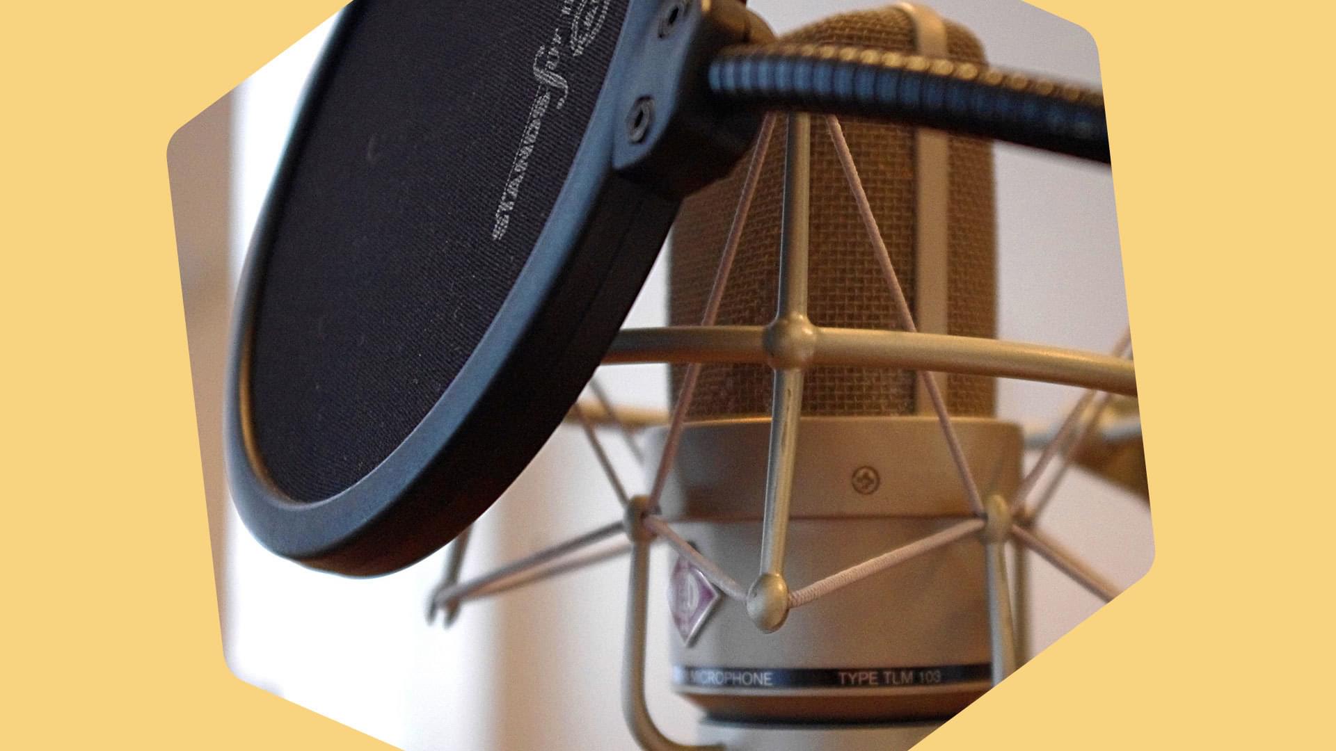 Mic Protectors Header