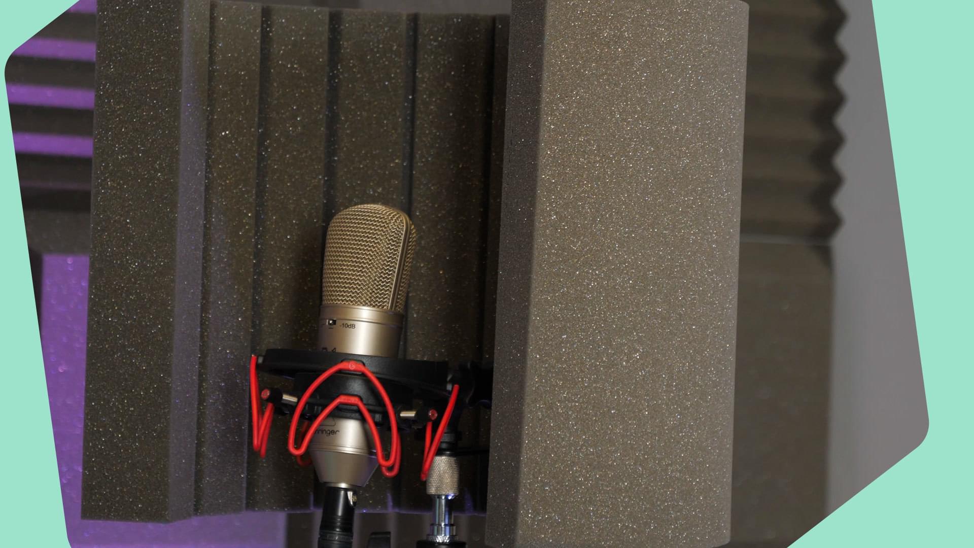 Pro Acoustic Foam Microphone Screen: Do Portable Sound… | Radio.co