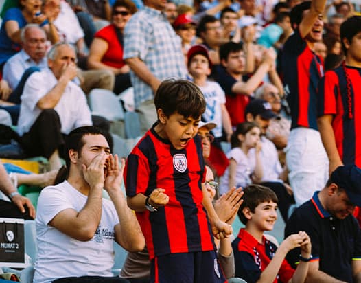 A crowd of football fans watching a game. A boy in the front of the image is standing up and celebrating.