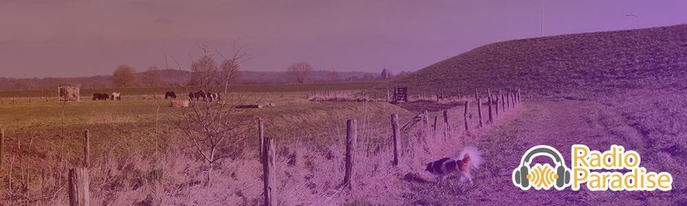 A field with some livestock in. In the bottom right hand corner is the Radio Paradise logo.