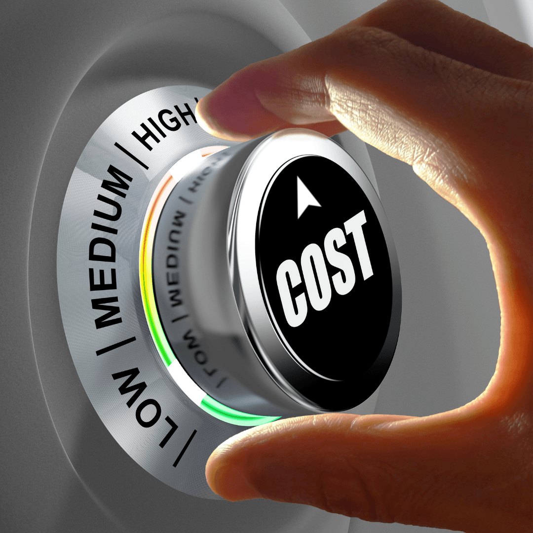 IMAGE Managing IT Costs