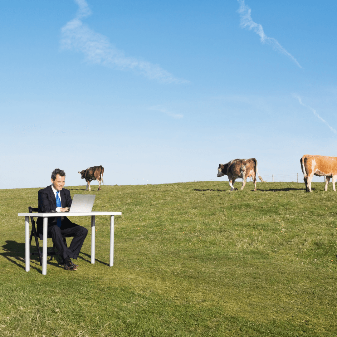 Office Space where you sit doesnt matter cows in a field